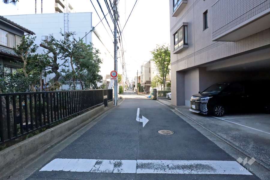 敷地北東側の前面道路（北西側から）