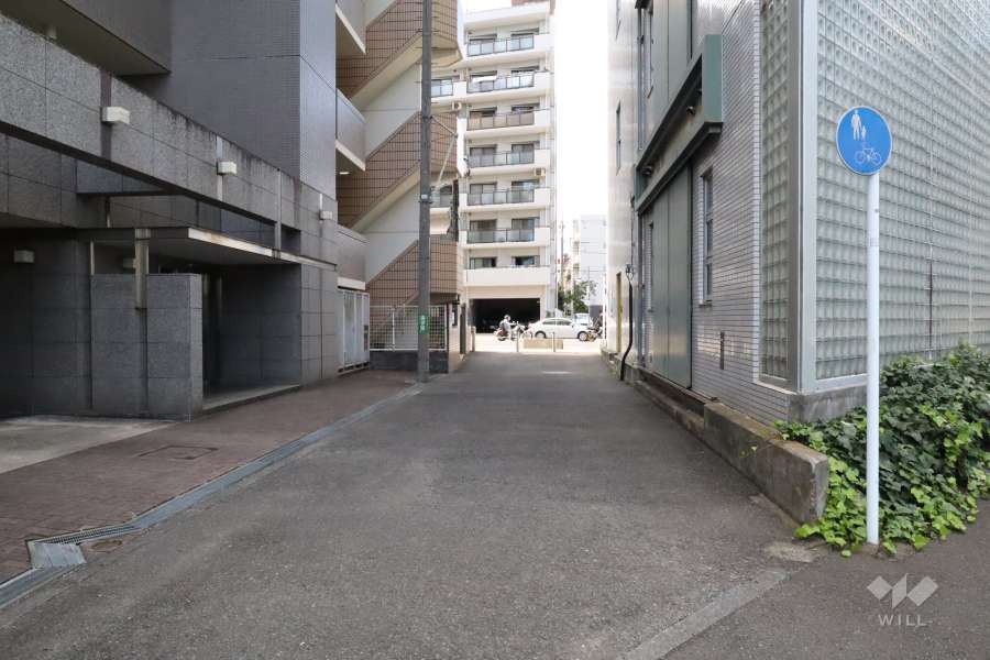 敷地北側の前面道路（東側から）