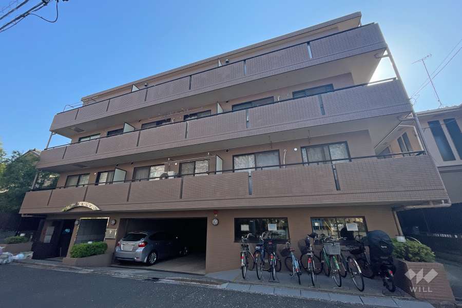 マイキャッスル武蔵小杉の外観（南西側から）