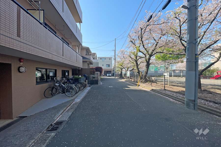 敷地西側の前面道路（北側から）