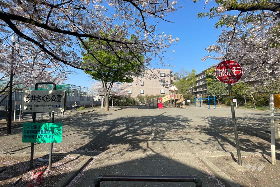 敷地西側に隣接する『今井さくら公園』