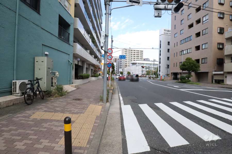 敷地東側の前面道路(南側から)