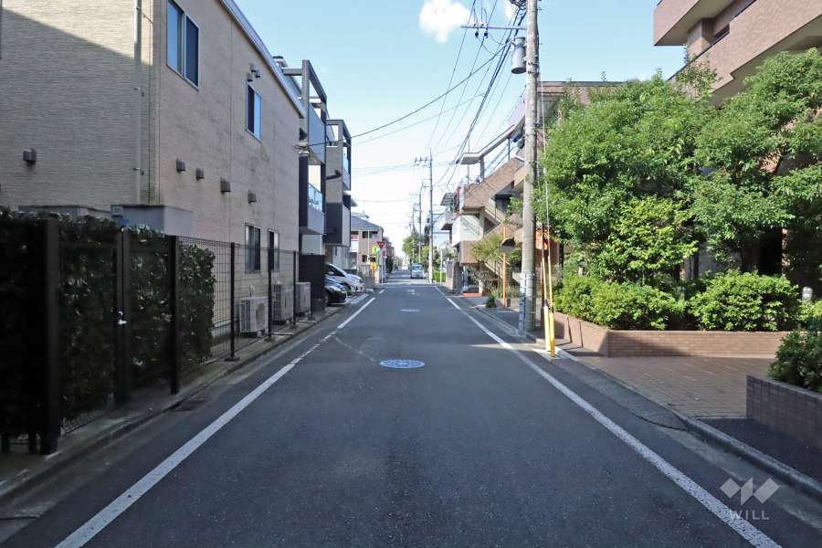 敷地西側の前面道路(南側から)