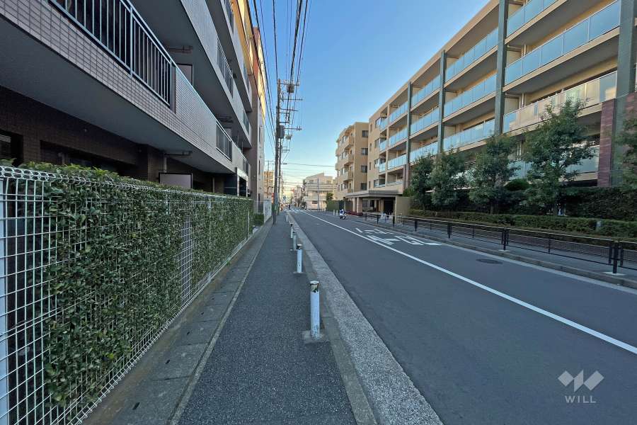 敷地西側の前面道路（北側から）
