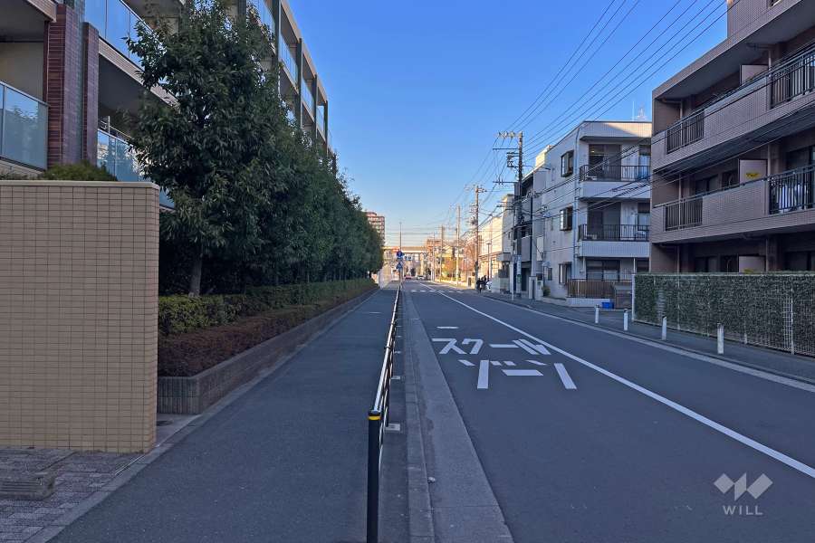 敷地西側の前面道路（南側から）
