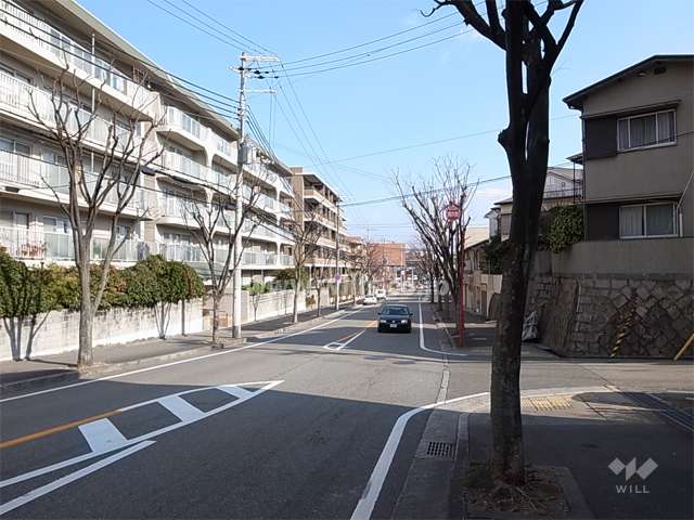 敷地南東側の前面道路。街路樹のきれいな通りです。