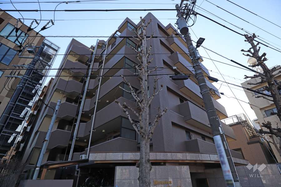 ライオンズマンション武蔵小杉東の外観(北東側から)