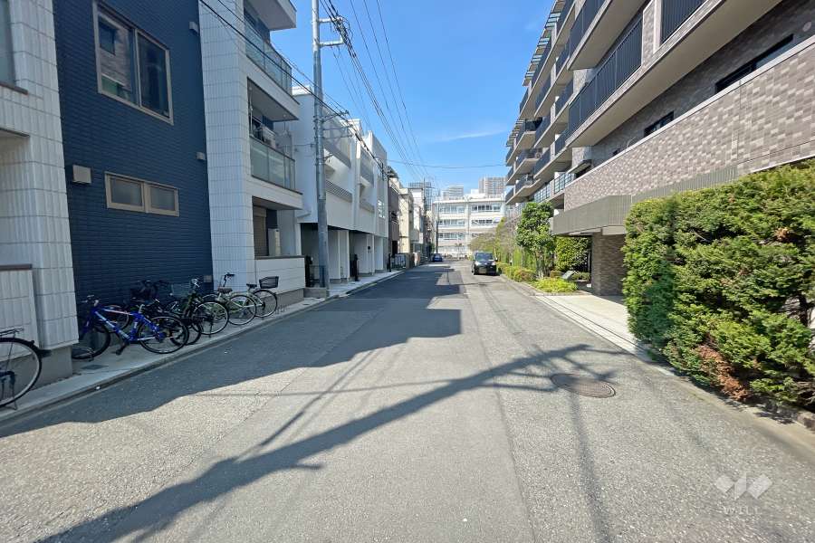 敷地西側の前面道路（南側から）