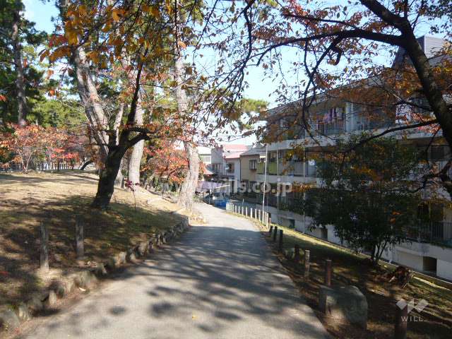 すぐ西側は夙川の桜並木です