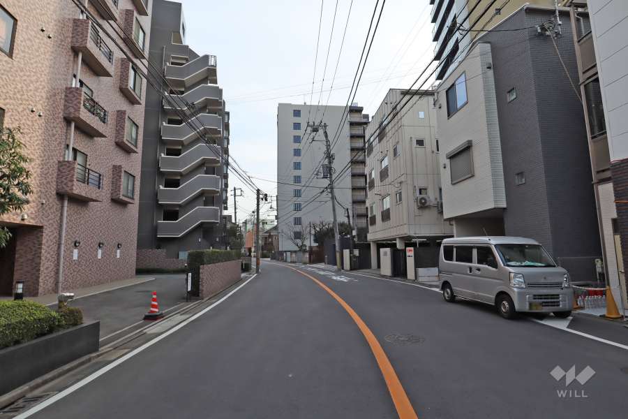 敷地西側の前面道路(北側から)