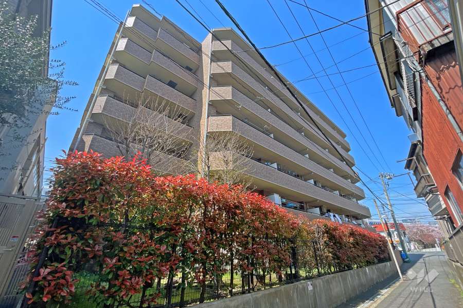 
ダイアパレス元住吉の外観（南東側から）