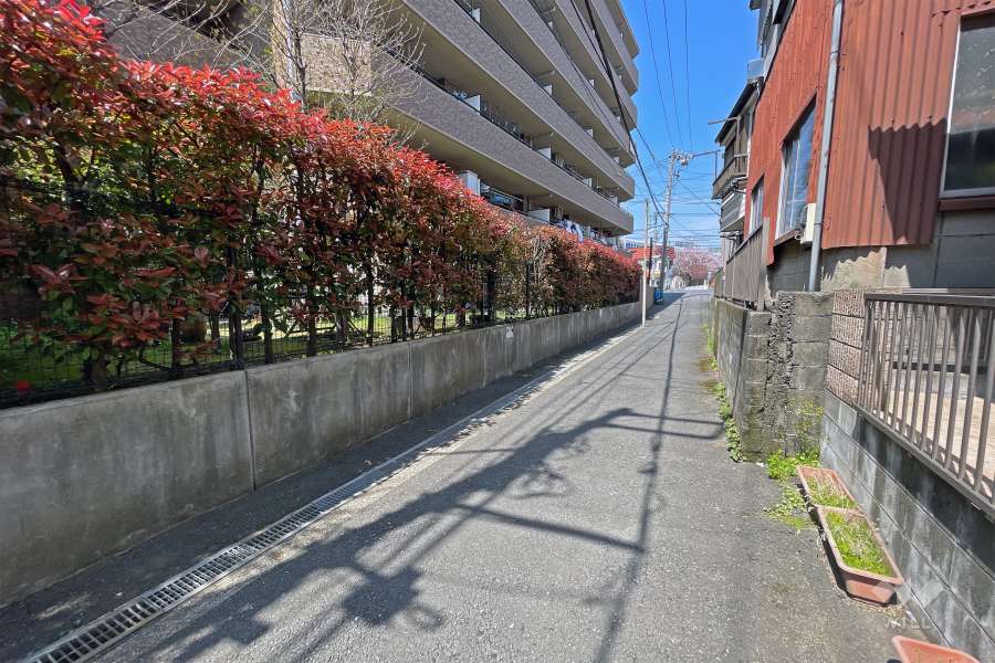 敷地東側の前面道路（南側から）