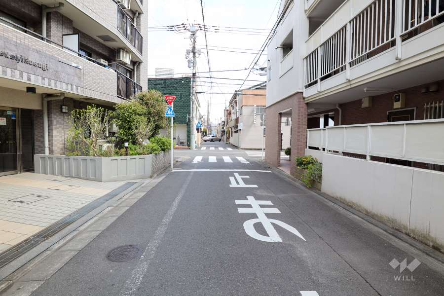 敷地南側の前面道路　