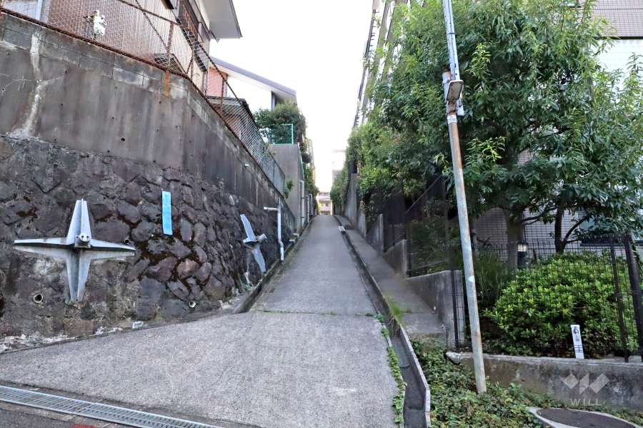 敷地東側の前面道路(北側から）