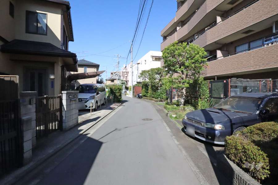 敷地南側の前面道路（東側から）