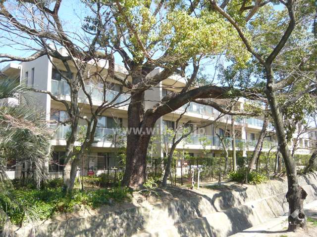 グランドメゾン苦楽園桜町の外観（南西から）