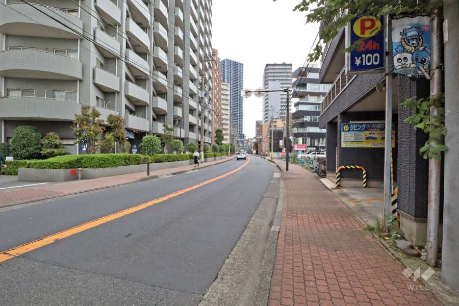 敷地南西側の前面道路は国道409号です(北西側から)。
