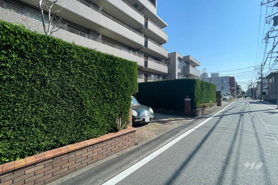 敷地南側の前面道路（西側から）