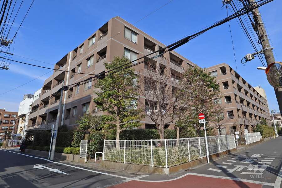 ヒルズ元住吉の外観(南西側から)