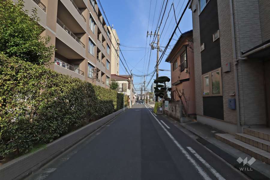 敷地南側の前面道路(西側から)