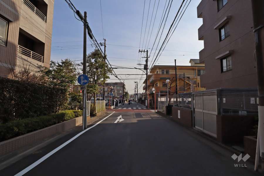 敷地西側の前面道路(北側から)