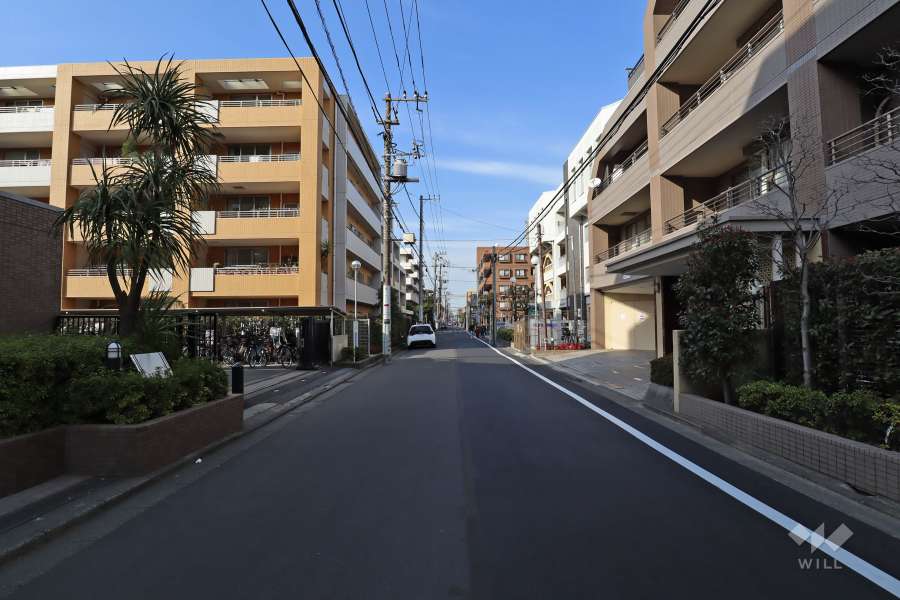 敷地西側の前面道路(南側から)