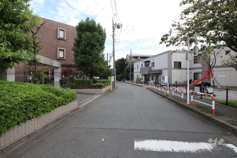 敷地南西側の前面道路(北西側から)