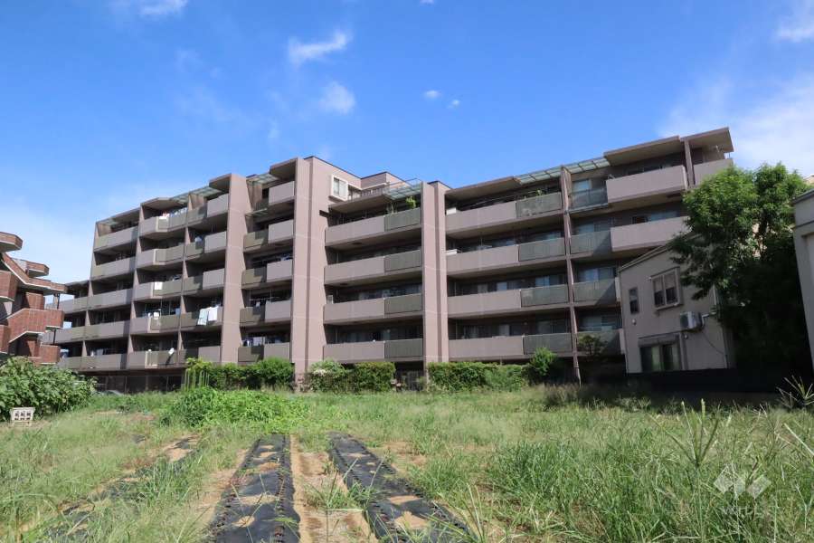 パルミナード武蔵新城弐番館の外観(南側から)