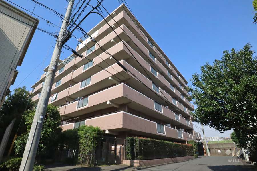 クリオ多摩川緑地壱番館の外観(南側から)