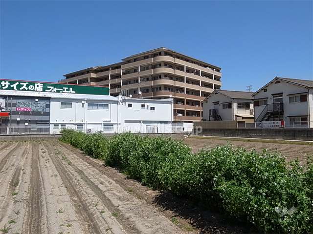 周辺には住宅や店舗の他、田畑も点在し、のどかな雰囲気です。