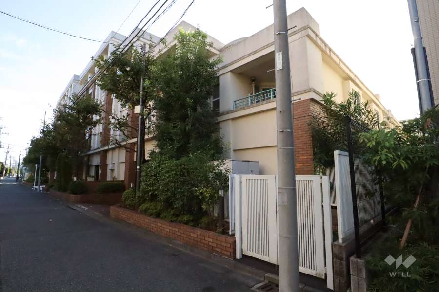 ラヴィドール武蔵小杉の外観(北東側から)