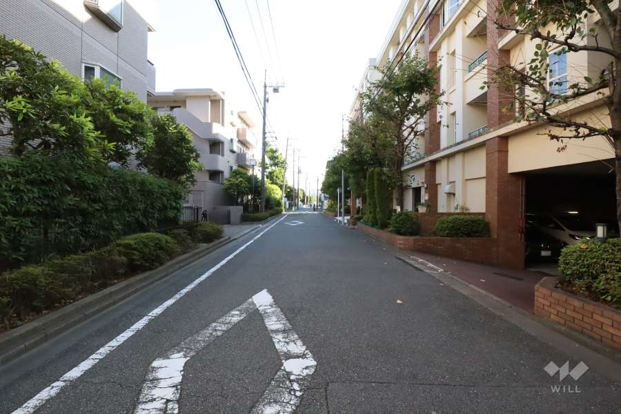 敷地東側の前面道路(北側から)