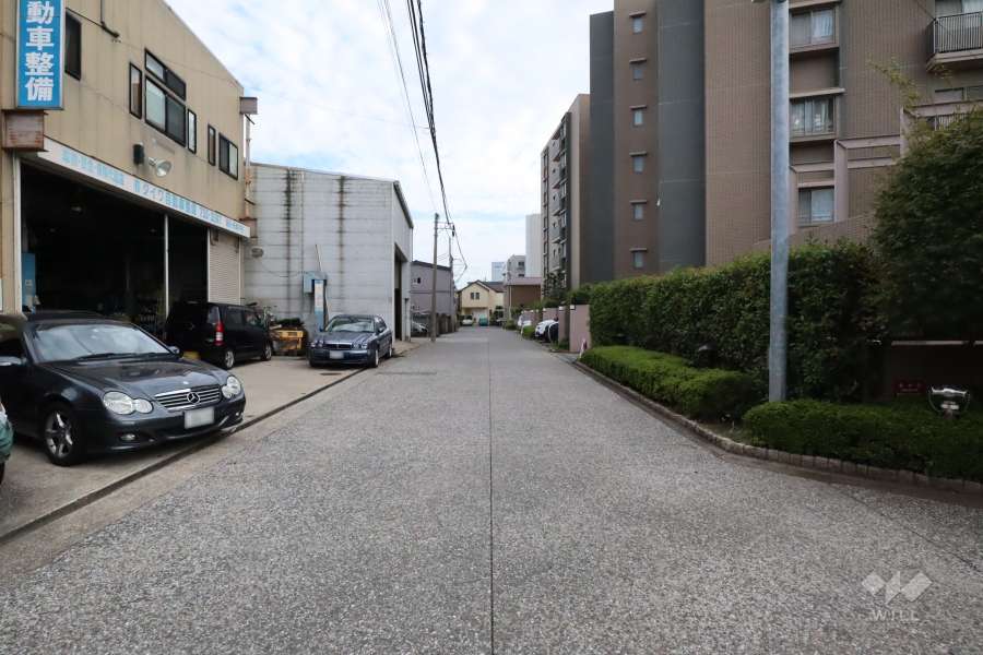 敷地東側の前面道路(北側から)