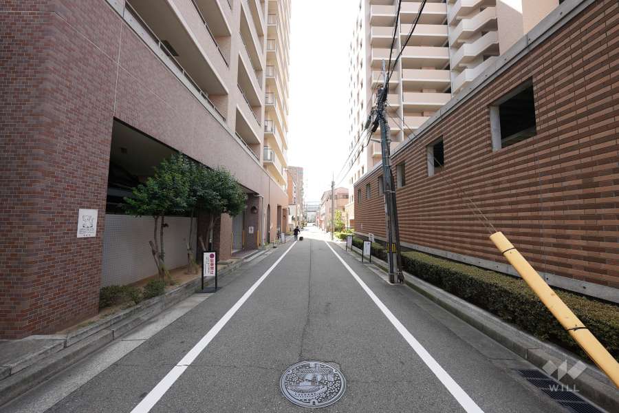 敷地西側の前面道路（北側から）