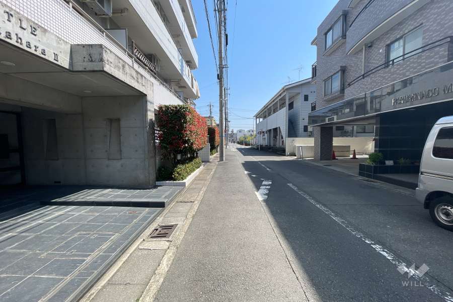 敷地南側の前面道路（西側から）