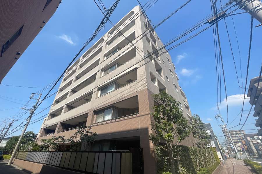 藤和シティホームズ武蔵小杉御殿町の外観（南東側から）