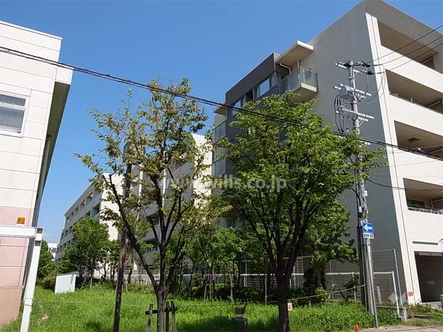 リビオ西宮学文ソルファの外観（西向きの棟を南西側から）