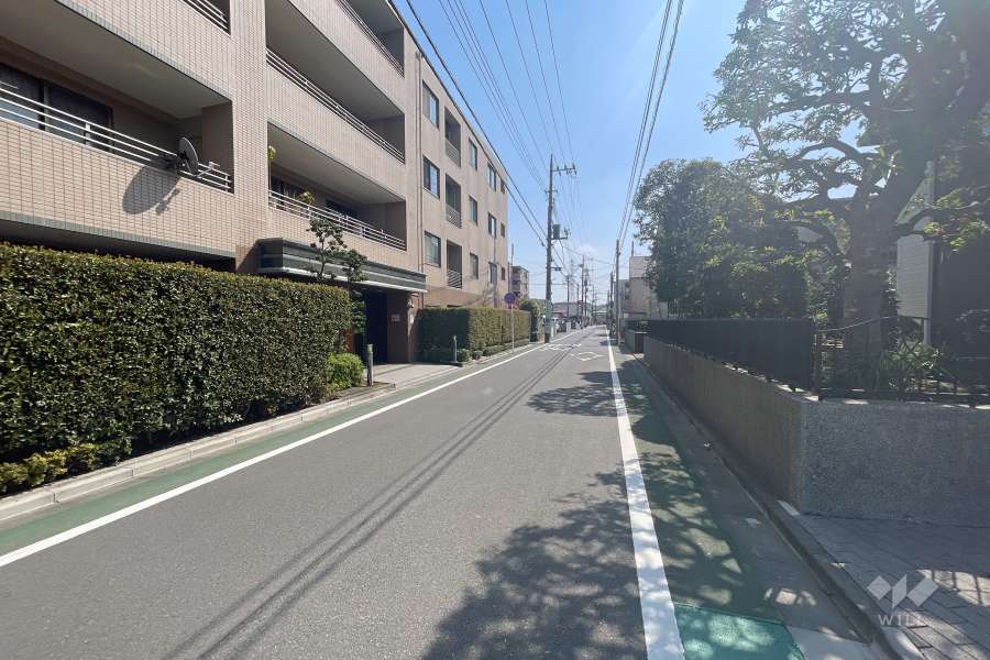 敷地西側の前面道路　