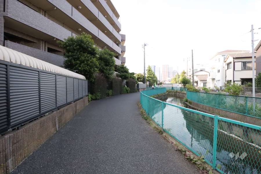 敷地北東側の前面道路(南東側から)