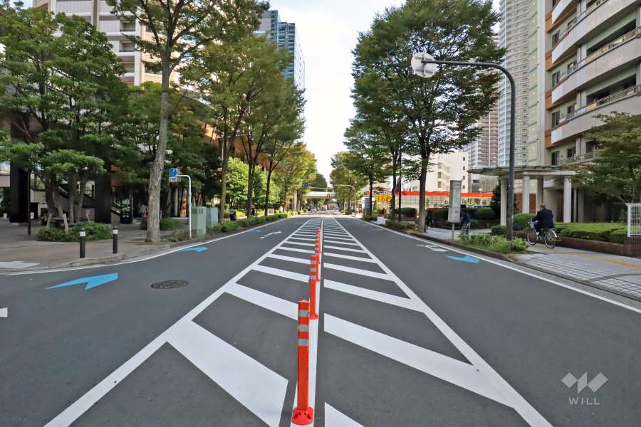 敷地北側前面道路は南部沿線道路です。