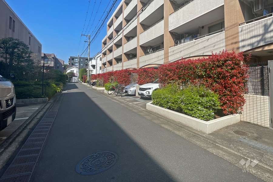 敷地南側の前面道路（東側から）