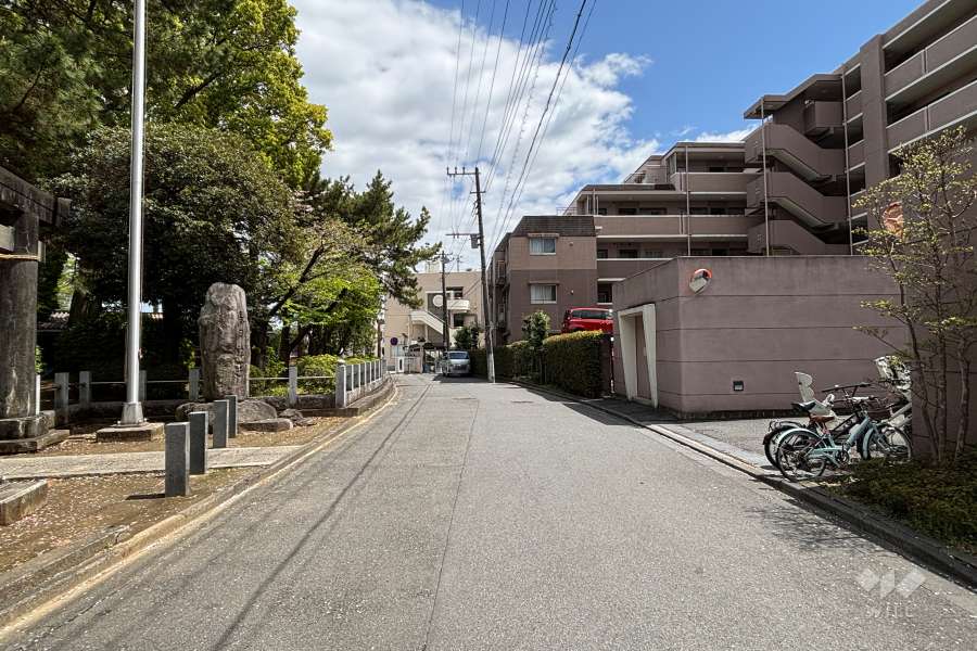 敷地の北側前面道路(西側から)