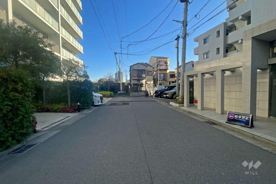 敷地北側の前面道路（西側から）