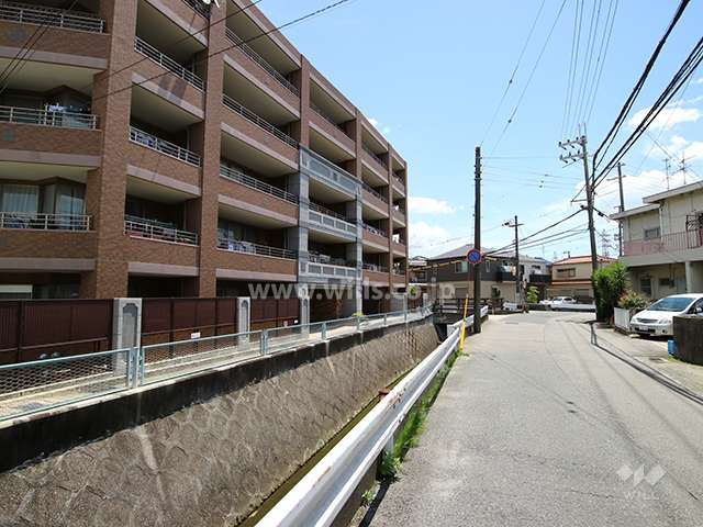 敷地南西側の水路