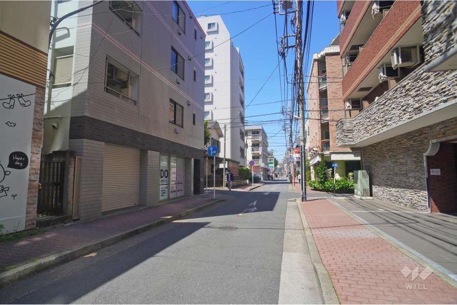 敷地西側の前面道路（南側から）