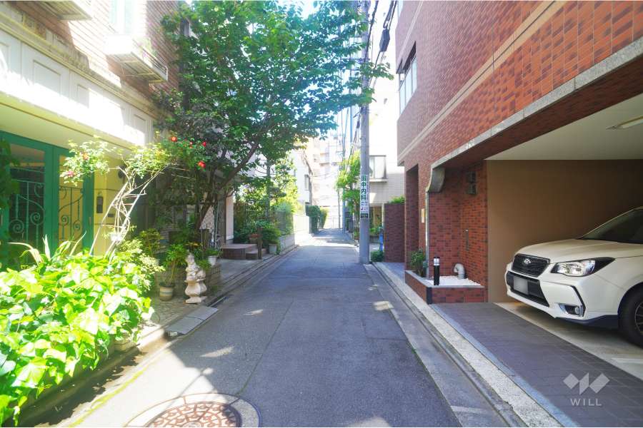 敷地北側の前面道路（西側から）