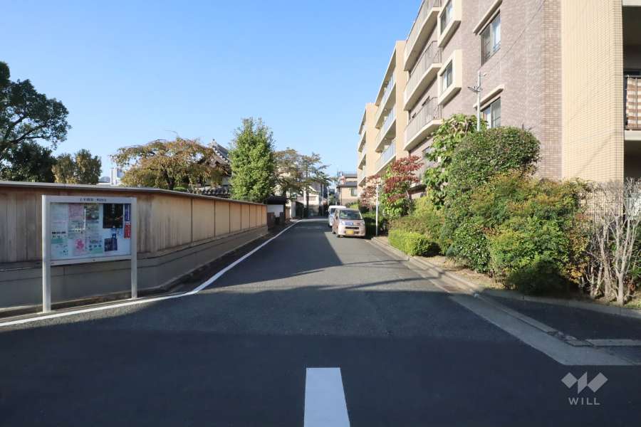 敷地西側の前面道路　