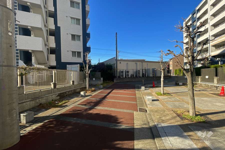 敷地北側の前面道路（東側から）