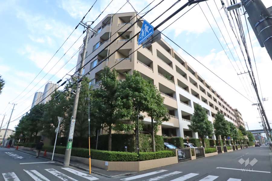 アルス武蔵小杉の外観(北西側から)