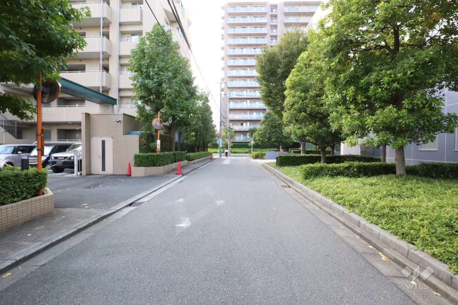 敷地北側の前面道路(東側から)